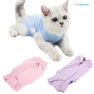 lilyscent pets gato gatito recuperación destete traje transpirable elástico suave ropa chaleco abrigo