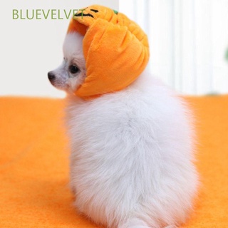 Bluevelvet divertido sombrero de mascota pequeño perro decoración de Halloween sombrero de calabaza lindo accesorios para mascotas perros sombreros disfraz tocado vestir mascotas herramientas