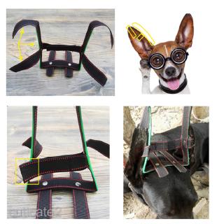 Suministros para perros/herramienta de cuidado de orejas/herramienta de cuidado de orejas/pegatina para perros pequeños a grandes