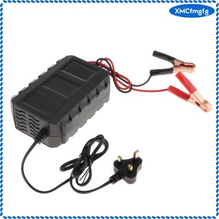 12V 20A Lead Acid Battery Charger Pulse Repair Battery Charger for Moterbike (6)