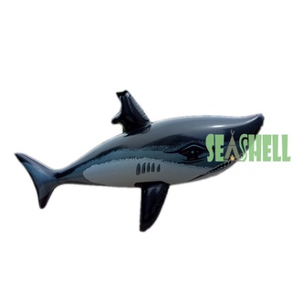Seashell02 * Tiburón Inflable Juguetes Piscina Seguridad Flotador Agua Jugando Para Niños