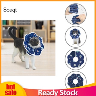 Sq collar suave Para mascotas/protector De mascotas/Antimordida/Antimordida
