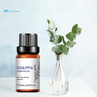stock 10ml aceite esencial de eucalipto para el cuidado del cuerpo purificadores de aire extracto de plantas fragancia aceites