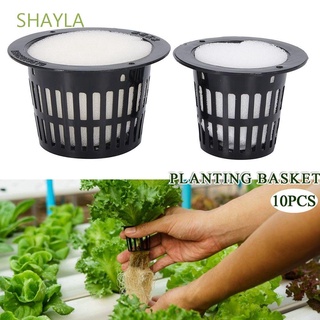 SHAYLA Heavy Duty Mesh Pot Germinate Planting Basket Nursery Pots Plant Grow Foam Insert 10pcs Garden Clone Hydroponic Vegetable Net Cup