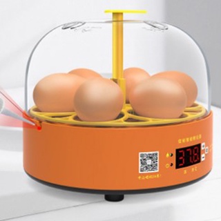 Mini incubadora Digital de 6 huevos de temperatura automática Brooder huevo Hatcher