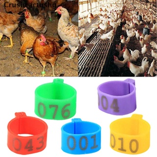 [crushcactushg] 100 x 16 mm clip en la pierna banda anillos para pollos patos gallinas gallinas grandes aves de corral venta caliente