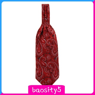 [baosity5] Hombres Paisley Floral Jacquard Tejido Auto Cravat Corbata Ascot Accesorios (3)