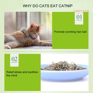 5g/Pack Cat Mint Powder Natural Catnip Pet Kitten Mouth Cleaning Flavor Treats (8)
