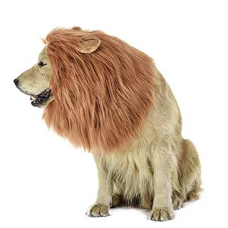 Mascota ajustable cómodo lujo león pelo perro melena peluca disfraz peluca y orejas fiesta mascota proveedor