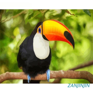 zanjinjin toucan paint by number kits 16 x 20 pulgadas lienzo diy o il pintura