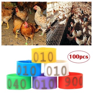Anillos De Plástico 001-100 Patos Numerados gansos De gallina para Colocar De pie anillos De pierna/Multicolor