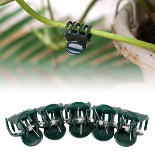 Clip de plantas de jardín de plástico de soporte de orquídea Clip de verduras flor atado rama fija abrazaderas herramientas de jardín (3)