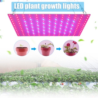 Luz Led Para crecimiento De Plantas/Plantas De condensación/crecimiento De Plantas