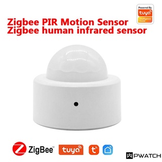 Tuya Zigbee Sensor de cuerpo humano inalámbrico inteligente movimiento del cuerpo mini PIR Sensor de movimiento uso con Gateway pw