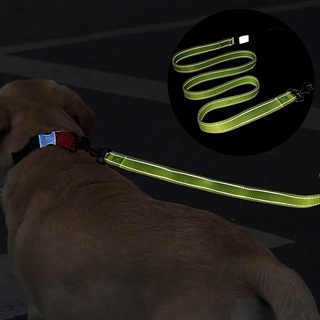 blinanddeaf Pet Cat Dog Adjustable Reflective Traction Rope Walking Harness Training Leash