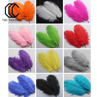 (Navidad) 15 piezas plumas de avestruz naturales de color suave plumas para ropa decoración de boda