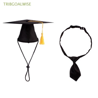tribgoalwise moda mascota graduación trajes gorra académica perro sombrero graduación corbata nuevo fiesta sombreros juguete cosplay fotografía ropas