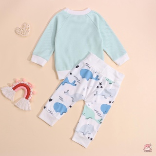 Jop7-Kids chándal conjunto, empalme Color manga larga jersey + Floral/Whale pantalones casuales para niños pequeños, niñas, 0-24 meses