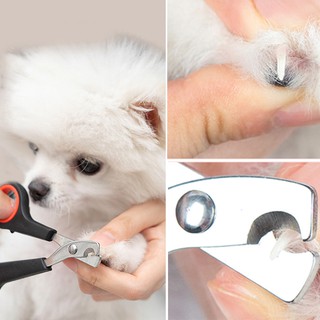 Zztim tijeras cortaúñas para mascotas/tijeras para uñas de perro/gatos/tijeras de recorte de animales/herramientas de aseo para mascotas