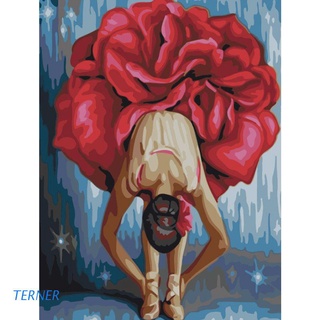 tern ballet paint by number kits 16 x 20 pulgadas lienzo diy o il pintura