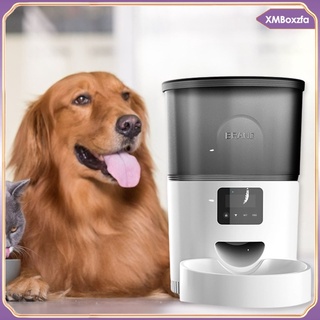 alimentador automático para mascotas dispensador de alimentos temporizador grabadora de voz para perros cachorro gatos