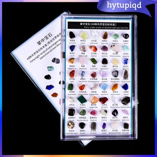 Hytupiqd 48x colección De Rock y Mineral en caja De colección Premium De espieas geología