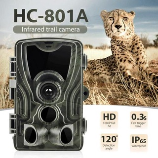 Hc801a caza Trail cámara versión nocturna Wild cámaras 16MP 1080P IP65 trampa s gatillo vida silvestre cámara vigilancia vainilla