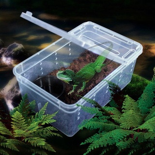 Jncm - caja de alimentación transparente para reptiles, anfibios, jaula de serpiente, lagarto, araña, reptil, combinación (1)