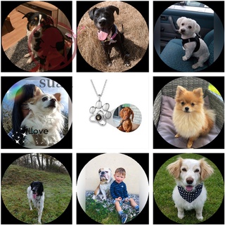 collar personalizado para fotos de mascotas 100 idiomas te amo collar de proyección lindo mascota pata collar de metal (9)