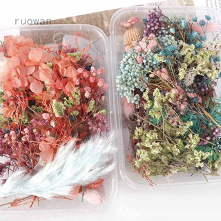 Ruowan Hunanweiyao 1 caja de flores secas reales plantas secas para aromaterapia vela epoxi resina colgante collar joyería fabricación de manualidades bricolaje