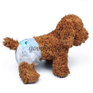 10 Pzs Pañales Desechables Para Perros/Mascotas/Pantalones Sanitarios Cachorro/Mujer (4)