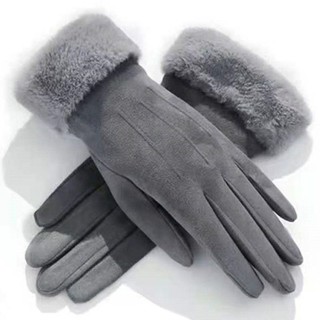 Otoño e invierno lindo gamuza guantes de las mujeres pantalla táctil caliente plus terciopelo engrosamiento montar a caballo anti-glocking algodón
