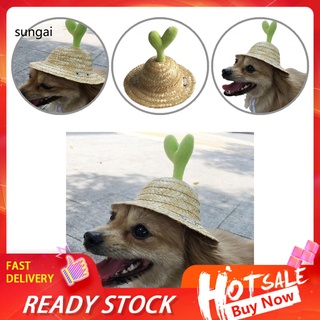 sun_ sombrero de paja portátil para mascotas, sombrero de paja, sombrero de sol con cordón ajustable con cordón ajustable para perro