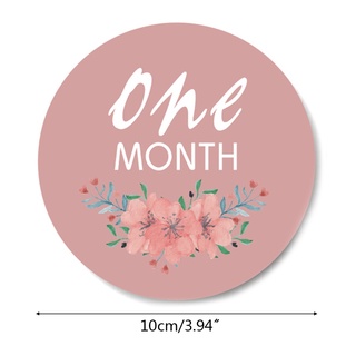 brea 12 pegatinas mensuales para bebé embarazada, crecimiento recién nacido, fotografía, diseño floral, memoria, grabación, hito (2)