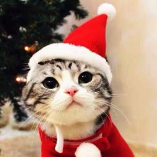 sombrero de peluche pequeño de navidad para mascotas perro gato sombrero feliz navidad decoraciones para el hogar gorro (4)