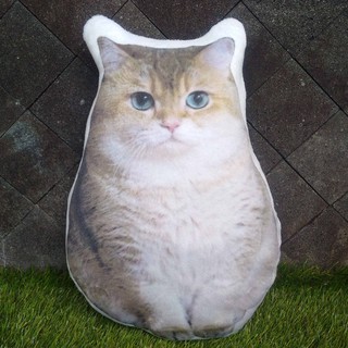 Hosico - almohada de carácter con forma de gato, calidad Premium Hosico