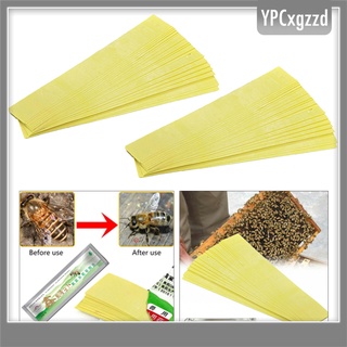 40pcs pro apicultura fluvalinate abeja ácaros varroa herramienta tiras suministros