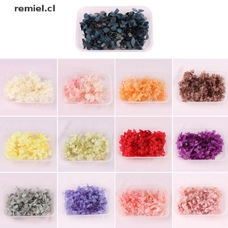 【remiel】 1Box Random Real Dried Flower Resin Mold Fillings UV Expoxy Flower Resin Molds CL (1)