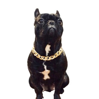 Collar de cadena de oro para mascotas, diseño de plata, pequeño Collar, perro francés, Bulldog W9d5, gato U0B4 (1)