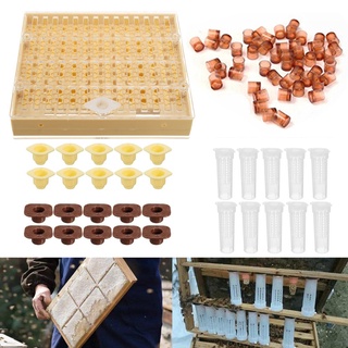Nuevas Tazas De Celda Cupkit Completo Abeja Reina Sistema De Cría Caja De Apicultura Set shbarbieHao