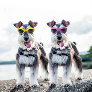 lentes plegables para mascotas/gafas para perros/gafas de sol/gafas de sol para mascotas/producto de moda