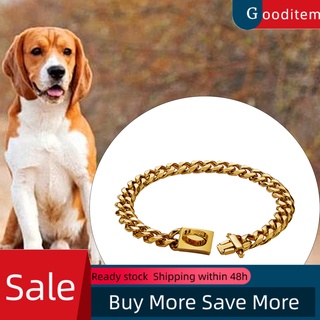 gooditem collar/choker con hebilla de color dorado de acero inoxidable para perros/suministros para mascotas