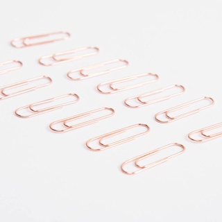 RA 200pcs Small Mini Metal Paper Clips Bookmarks Photos Letter Binder Clip Stationery School Office Supplies (7)