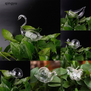 [qingyu] 11 tipos de plantas de vidrio para plantas, alimentador de agua automático, dispositivos de riego automático