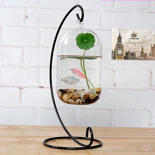 Clear Glass Hanging Flower Vase DIY Micro Landscape Air Plants Terrarium Pot (2)