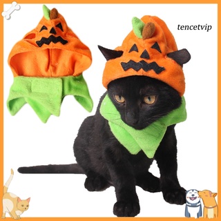 ptimistica-Cute Pet Cat Costume Cosplay Pumpkin Hat Cap Halloween Party Headwear Decor