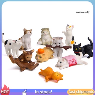 [fof] 10 piezas mini realista figura de gato escultura de pvc juguete casa de muñecas jardín adornos