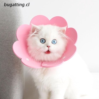 b.cl gato protection anti licking 3pcs pet girasol recovery collar suave esponja papel