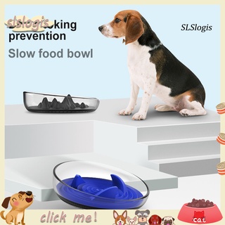 Sg pet perro gato cachorro alimentador lento alimentos recipiente de almacenamiento Anti asfixia plato de alimentación
