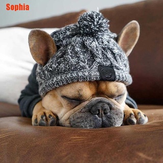 [Sophia] Sombrero De Perro De Invierno 2021 Francés Bulldog Al Aire Libre Cálido Y A Prueba De Viento Mascota